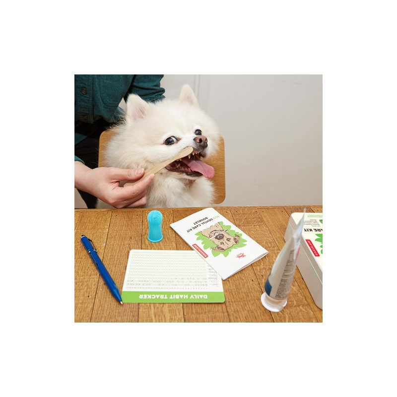 Tandvård-set till hundar, Multi